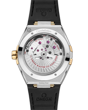 Cassa da 41 mm in acciaio inossidabile e oro giallo con finiture lucide e satinate, bracciale integrato bicolore acciaio/oro